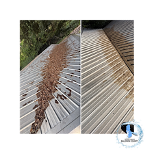 Baldwin-Countys-Top-House-Washing-Company-recently-completed-a-comprehensive-exterior-cleaning-project-on-a-beautiful-home-in-Fairhope-Alabama 0
